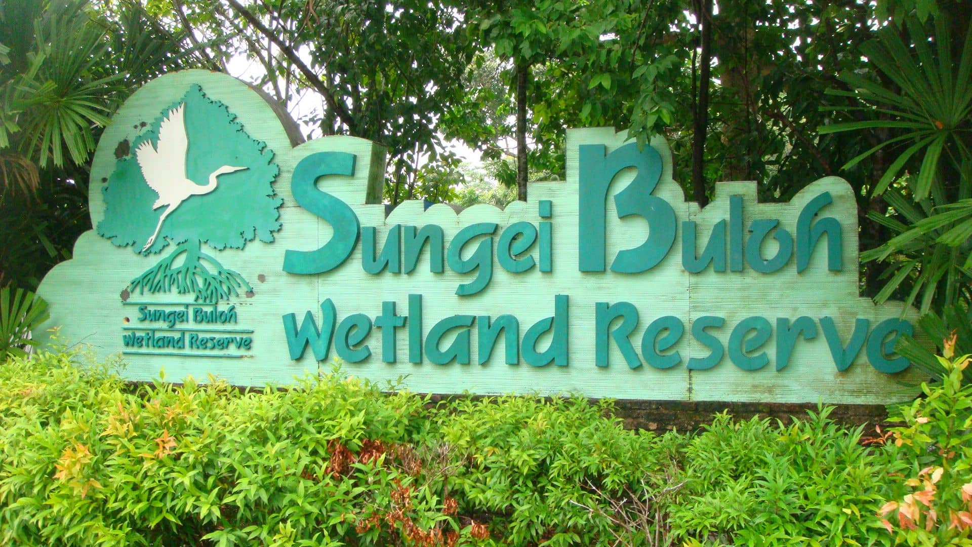 Sungei_Buloh_Wetland_Reserve_Banner.jpg