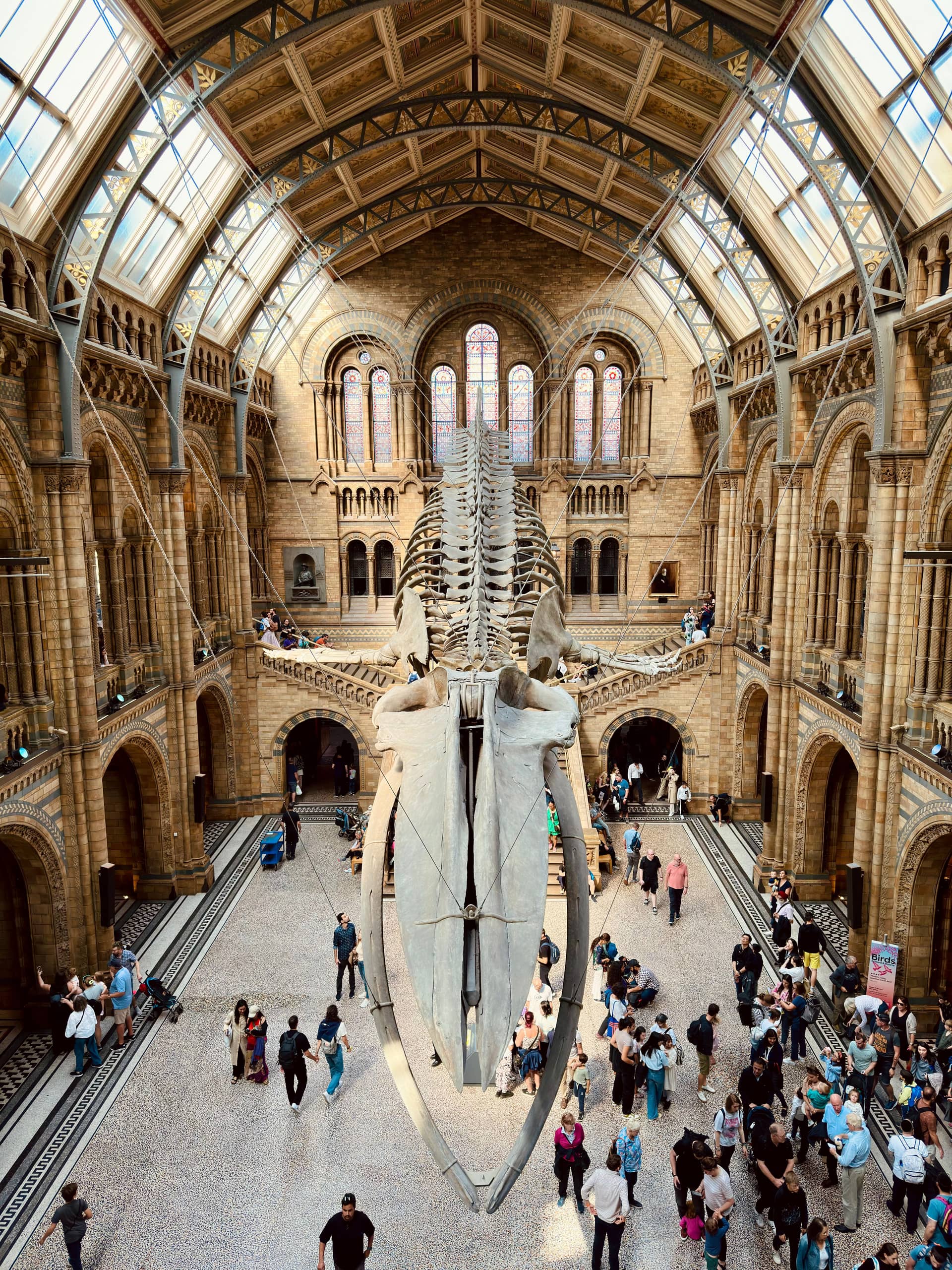best museum.jpg