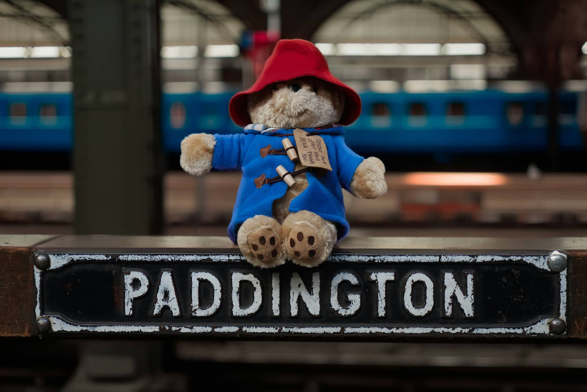 padington bear.jpg