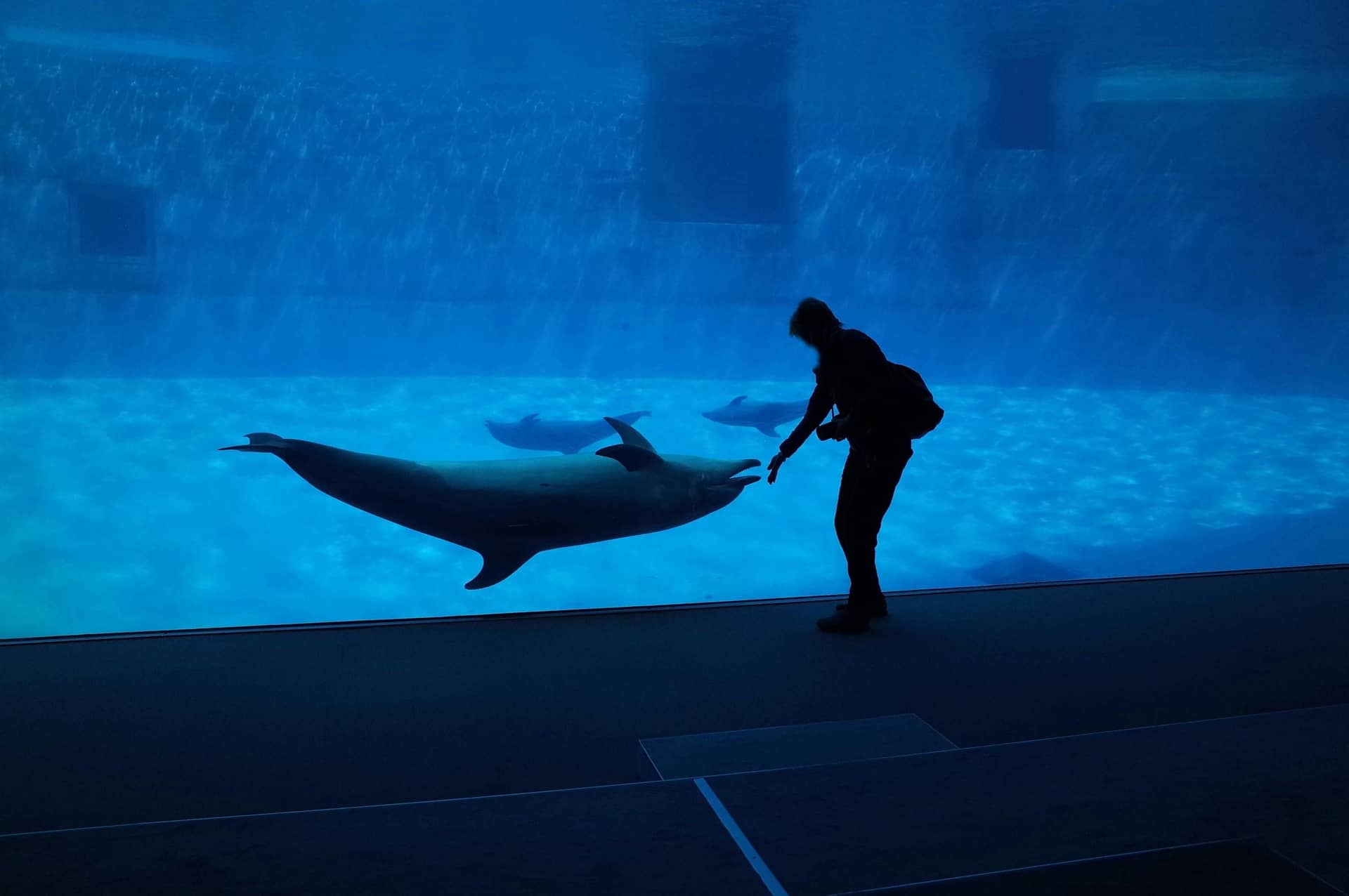 singapore oceanarium.jpg
