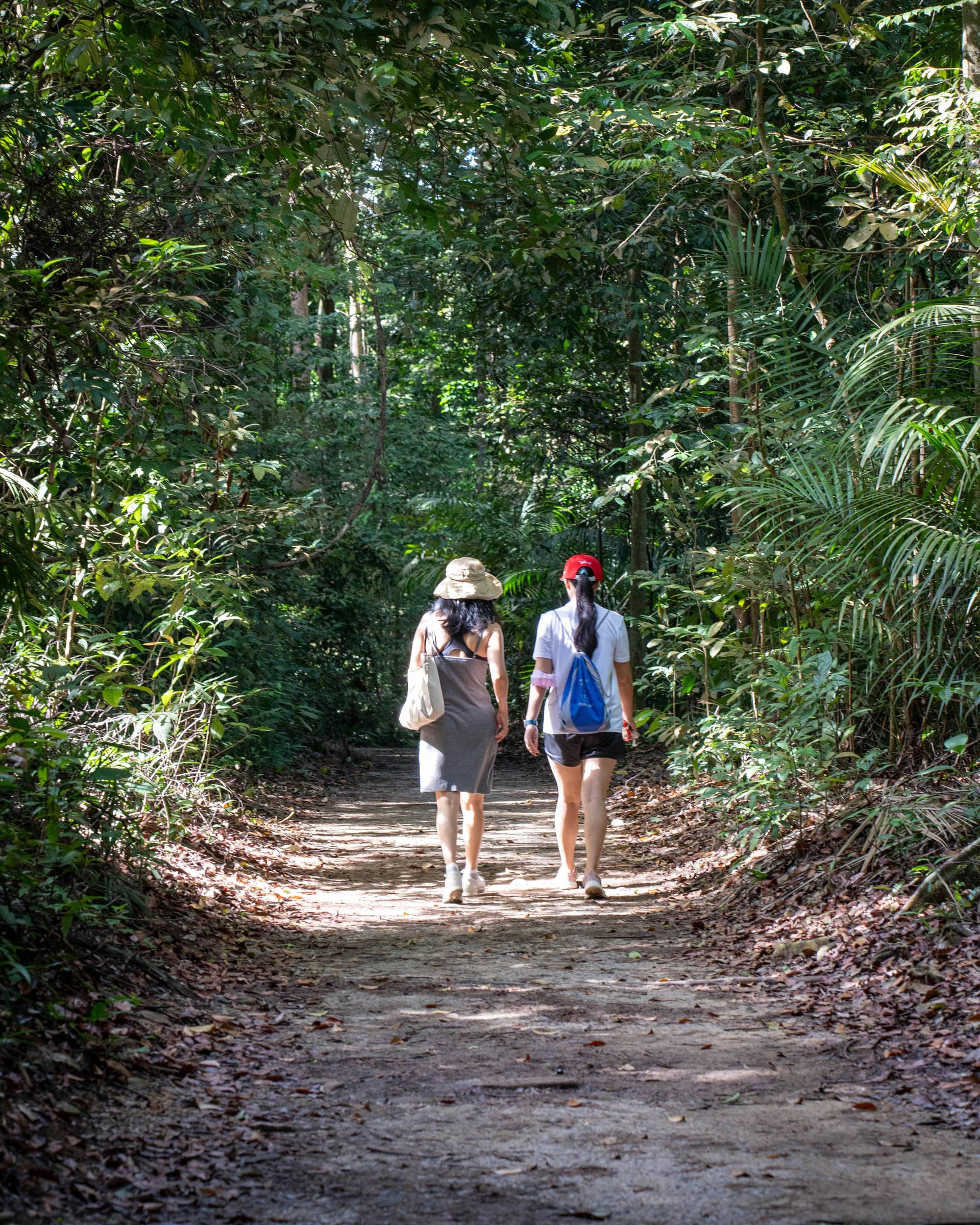 singapore southern ridges walk.jpg