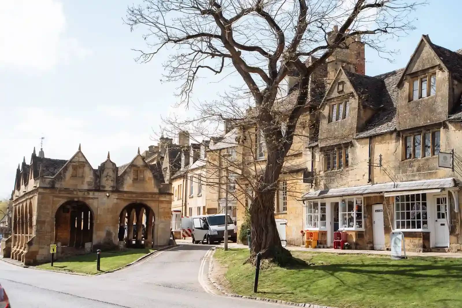 witney banner image_compressed.webp