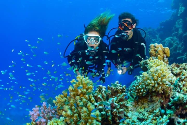 https://hare-media-cdn.tripadvisor.com/media/attractions-splice-spp-720x480/07/02/2a/48.jpg