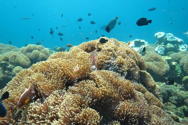https://hare-media-cdn.tripadvisor.com/media/attractions-splice-spp-720x480/07/02/2a/49.jpg