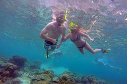 Best of Phi Phi Islands Snorkeling Tour from Phuket