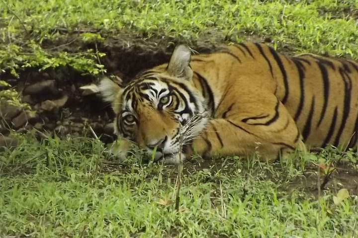https://hare-media-cdn.tripadvisor.com/media/attractions-splice-spp-720x480/09/51/fe/24.jpg