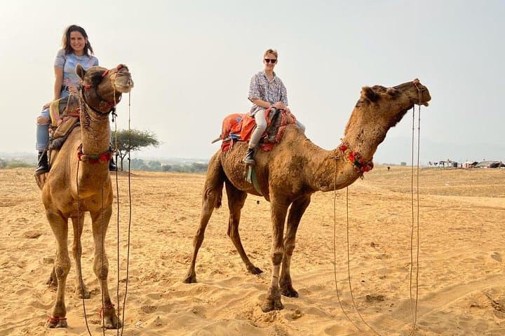 https://hare-media-cdn.tripadvisor.com/media/attractions-splice-spp-720x480/09/c3/e8/bb.jpg