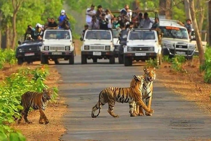 https://hare-media-cdn.tripadvisor.com/media/attractions-splice-spp-720x480/0a/07/72/4a.jpg