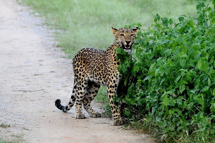 https://hare-media-cdn.tripadvisor.com/media/attractions-splice-spp-720x480/0b/2a/a2/09.jpg