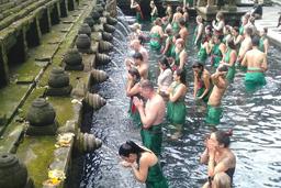 Skip the Line Tirta Empul Temple Entrance Ticket All Inclusive