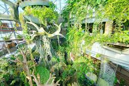 The Green Planet Dubai with Options