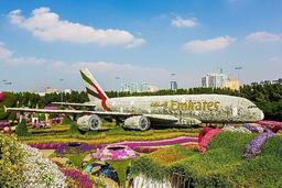 Miracle Garden And Global Village With Optional Transport 