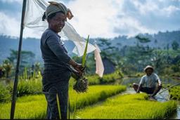 Sidemen Trekking: A Walk from a Different Perspective