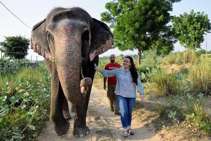 https://hare-media-cdn.tripadvisor.com/media/attractions-splice-spp-720x480/12/8f/3b/f9.jpg