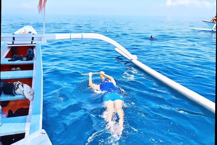 https://hare-media-cdn.tripadvisor.com/media/attractions-splice-spp-720x480/12/e2/51/29.jpg
