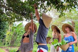 Balinese Farm Cooking Class by Pemulan Bali