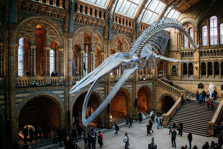 https://hare-media-cdn.tripadvisor.com/media/attractions-splice-spp-720x480/15/54/f2/3b.jpg
