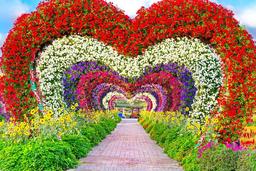 Dubai Miracle Garden Skip the Line Ticket and Transfer Option