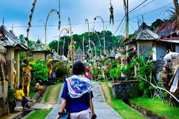 Besakih Mother Temple, Penglipuran Village and More - Full Day