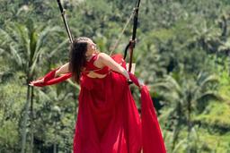 Penglipuran Village Waterfall Swing Private Guided Tour 