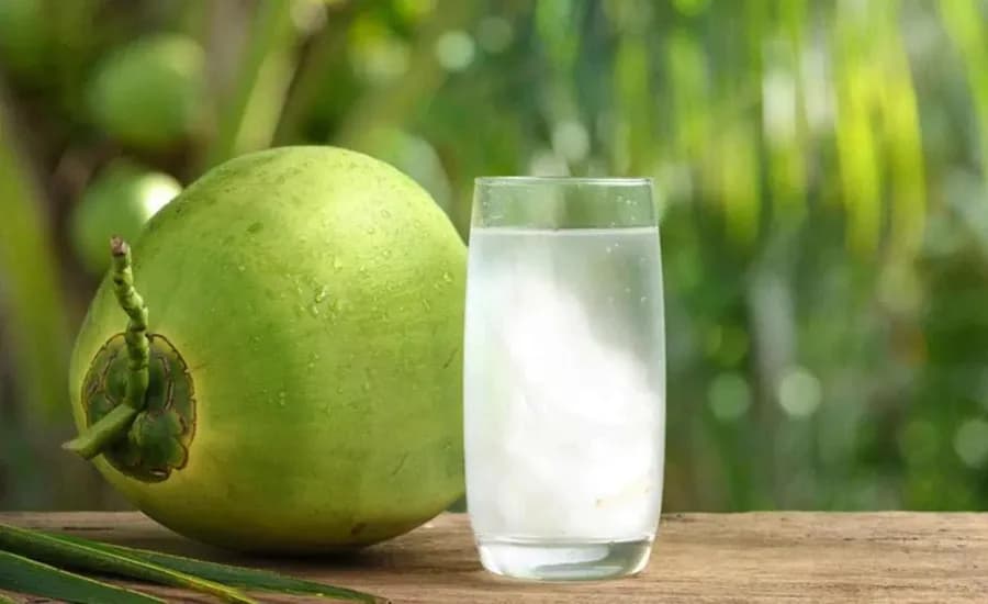 Fresh_Coconut_Water1_a1d8fe2dda