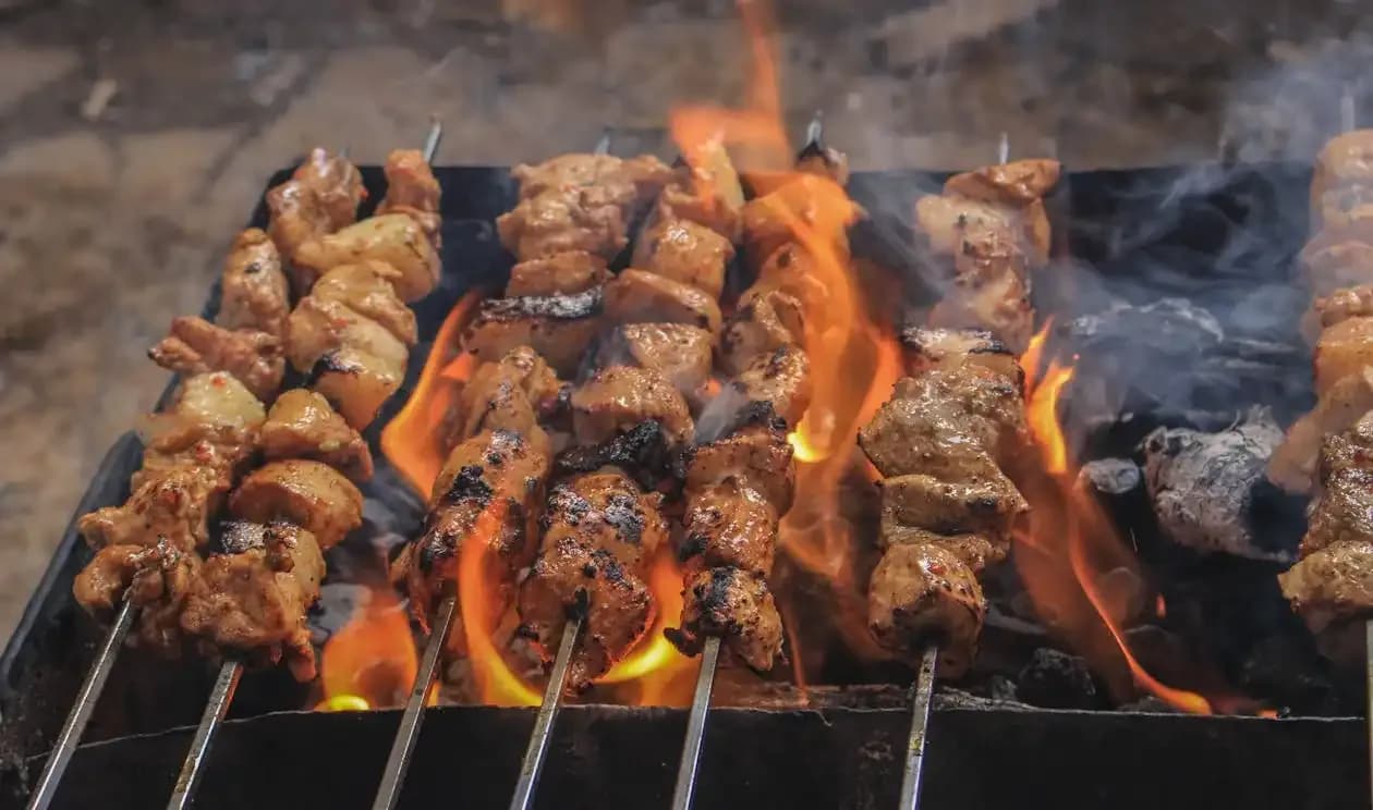 Kebab 1_compressed.webp
