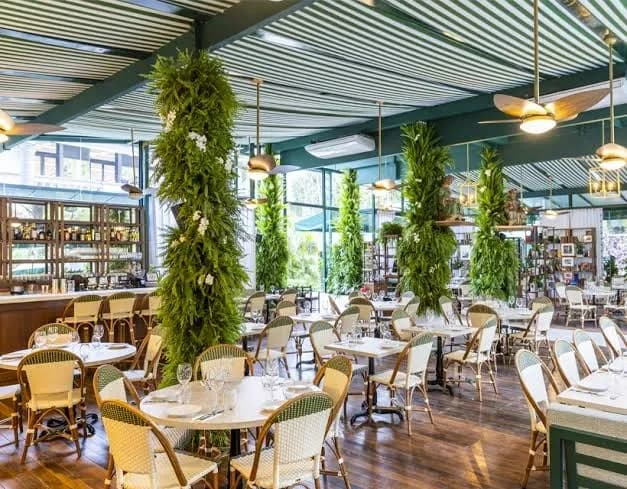 Les Deux Magots.webp