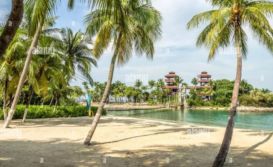 Palawan Beach1.webp