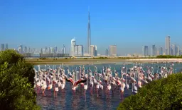 Ras Al Khor Wildlife Sanctuary