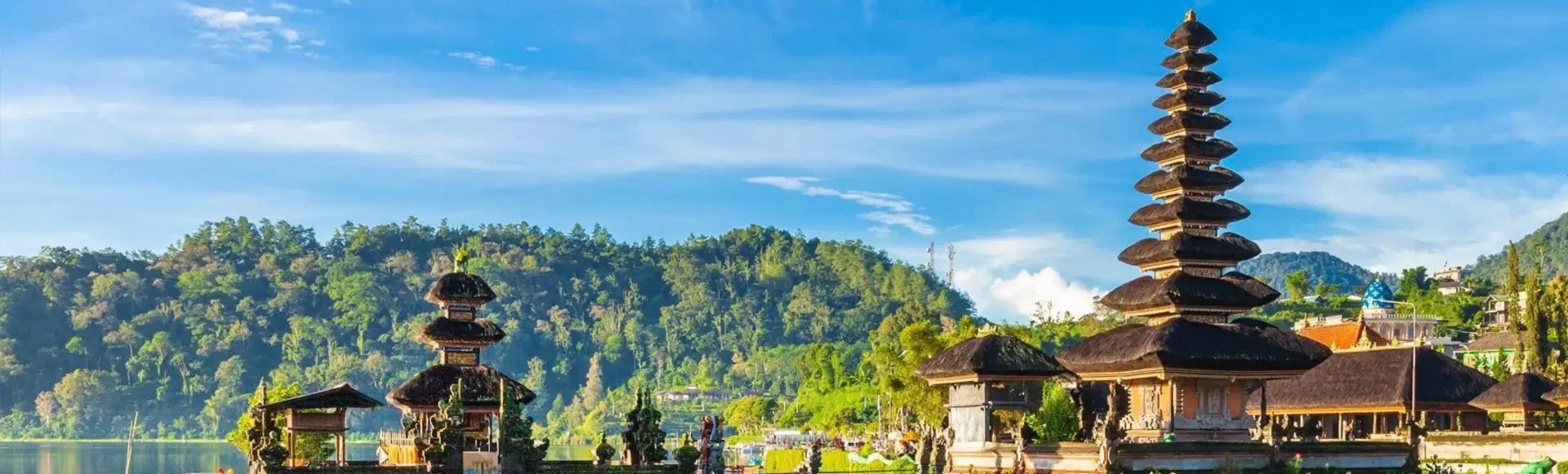 Untitld_design_43_e1ea19bcbe