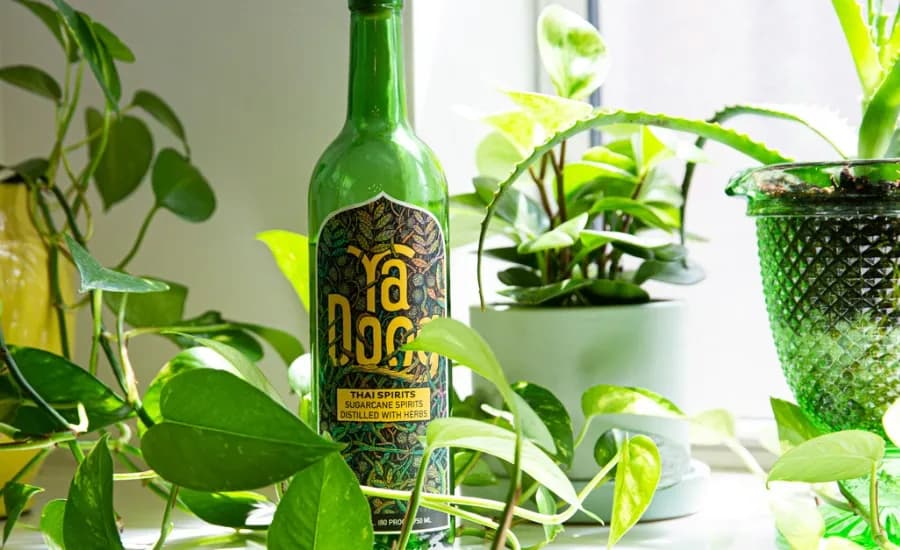 Ya_Dong_Herbal_Liquor_653e64ec4d