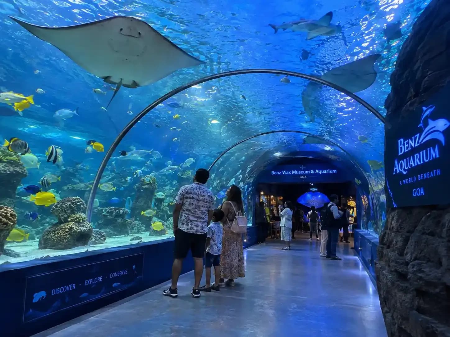 benz_wax_museum_aquarium_1_3_e60529121e