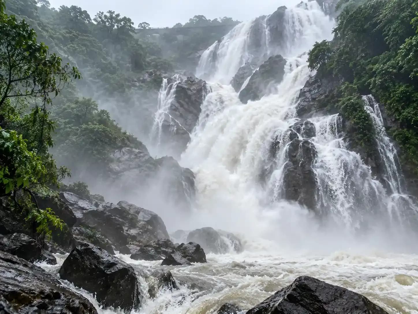 doodh_sagar_1_3_b7293b381a