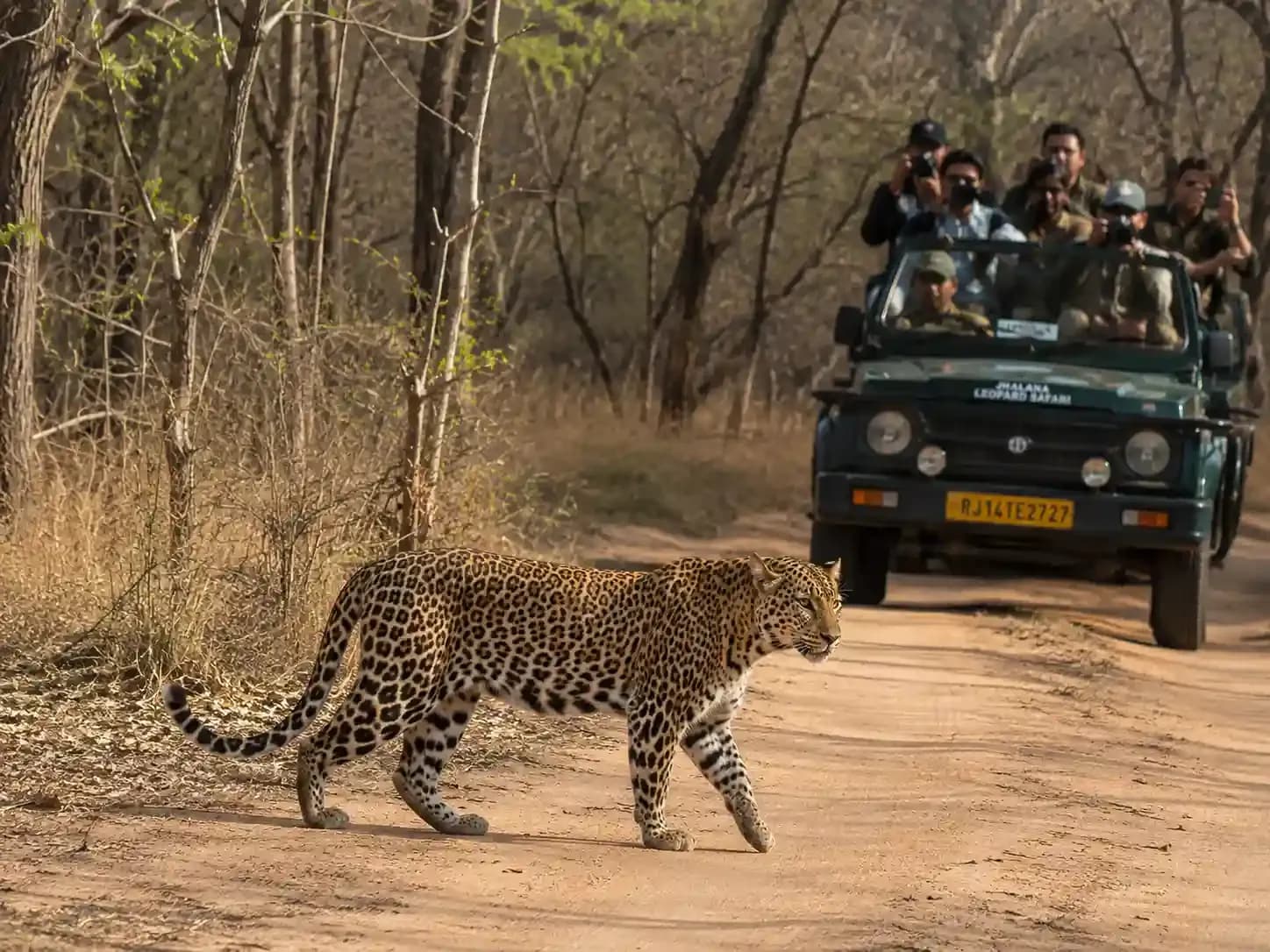 https://travjoy.s3.ap-south-1.amazonaws.com/jhalana_leopard_safari_1_2_e1a8ee62c2.webp