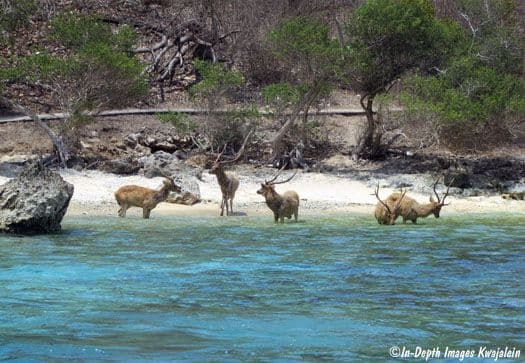 national park.jpg