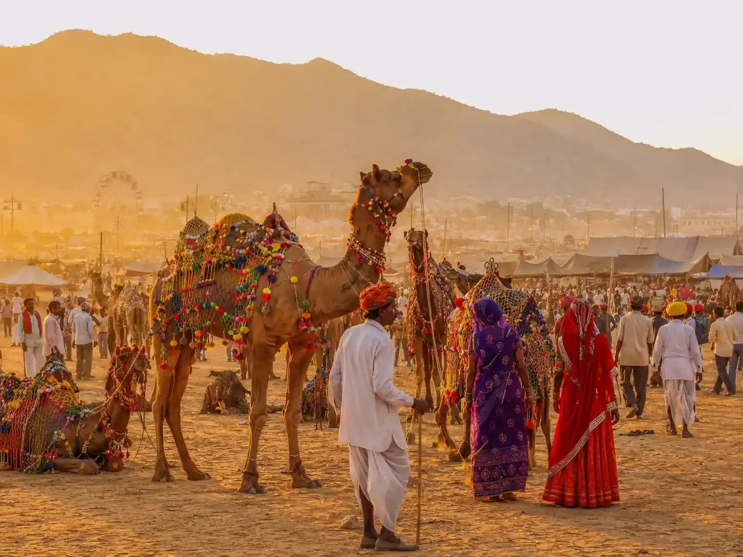 https://travjoy.s3.ap-south-1.amazonaws.com/pushkar_1_3_c122c03096.webp