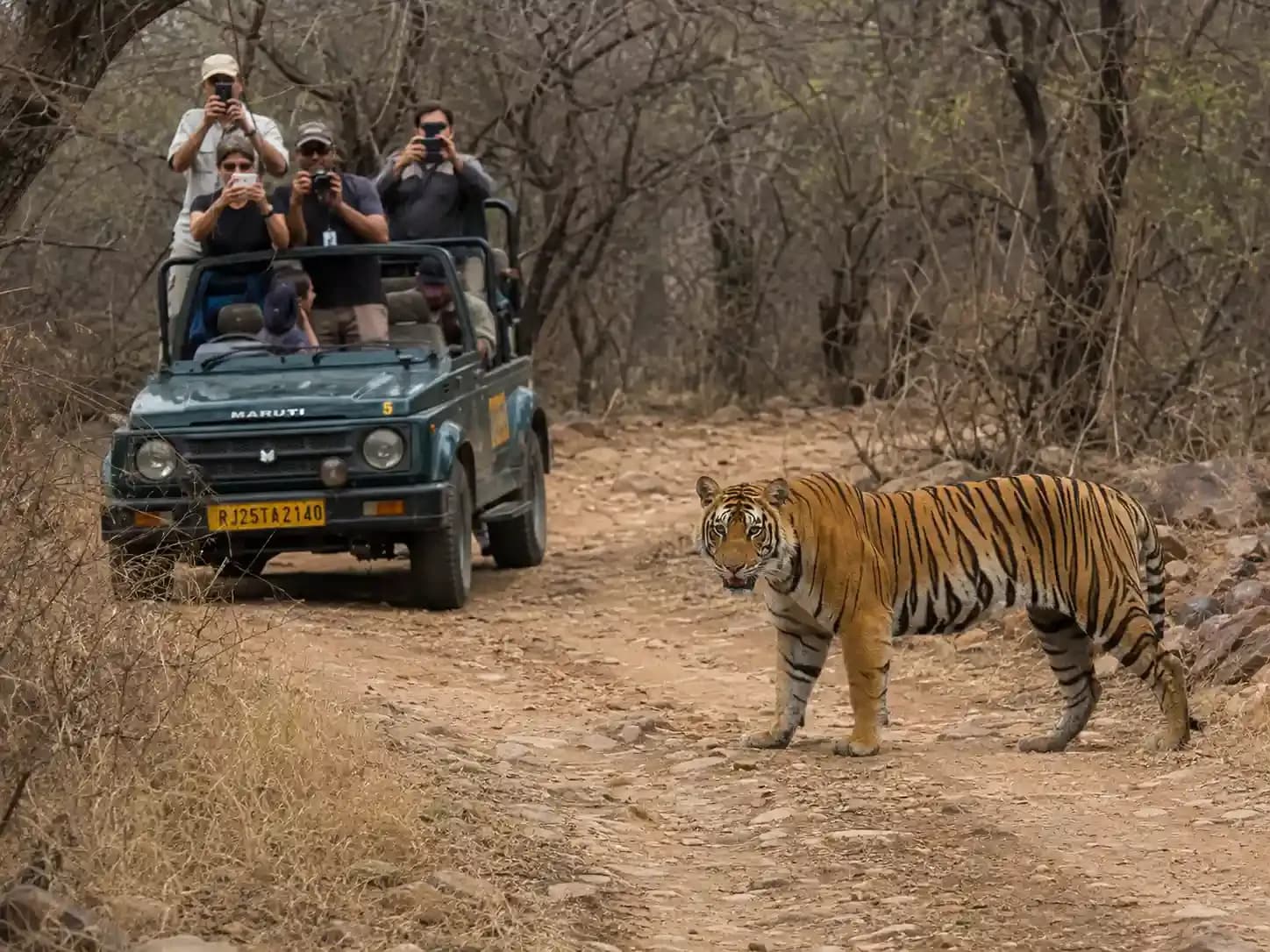 https://travjoy.s3.ap-south-1.amazonaws.com/ranthambore_tiger_safari_1_2_1a27bd8202.webp
