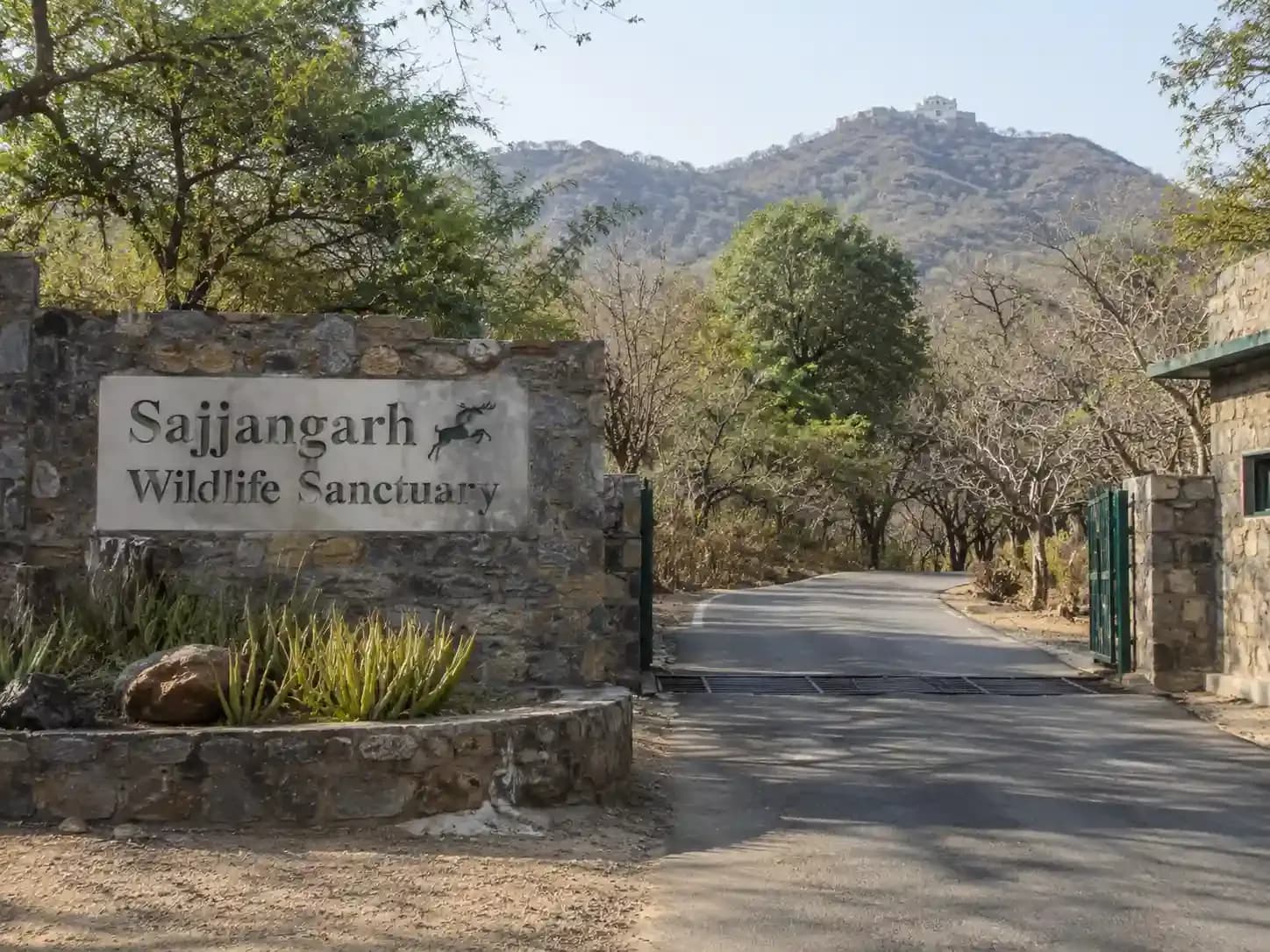https://travjoy.s3.ap-south-1.amazonaws.com/sajjangarh_biological_park_1_6d90299db3.webp