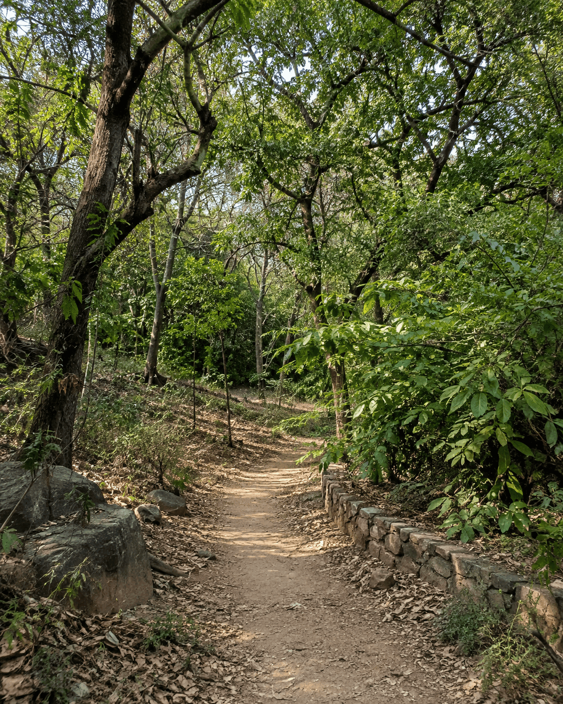 sanjay_van_1_1_55ee78f91b