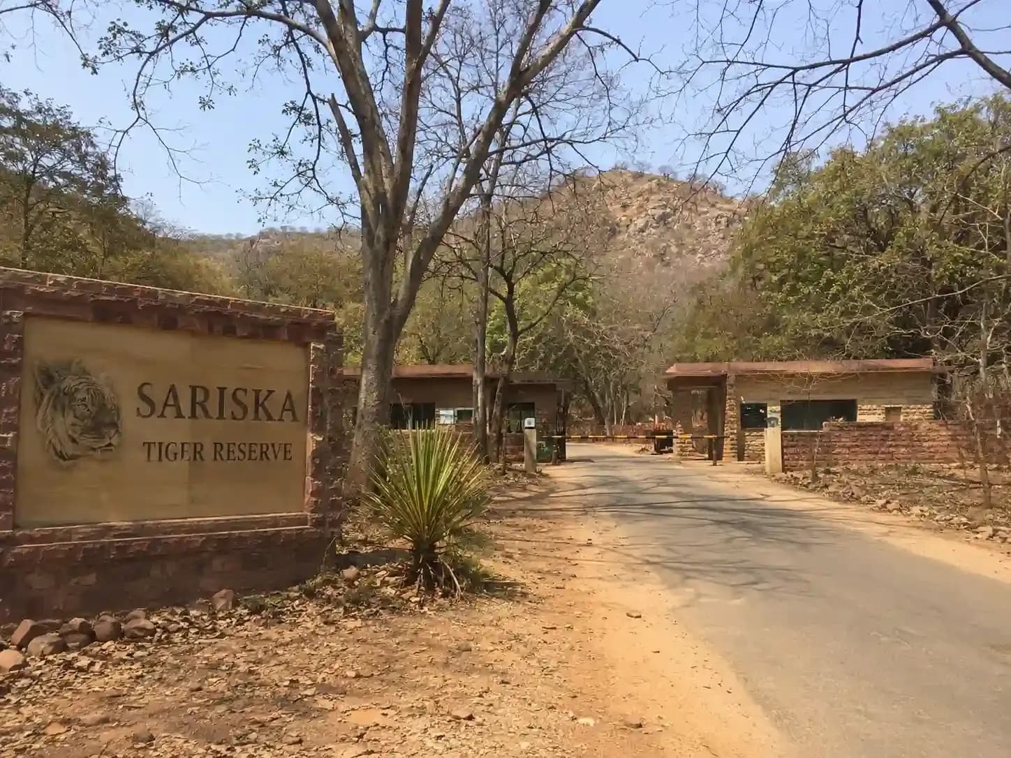 https://travjoy.s3.ap-south-1.amazonaws.com/sariska_tiger_reserve_1_1_052be704df.webp