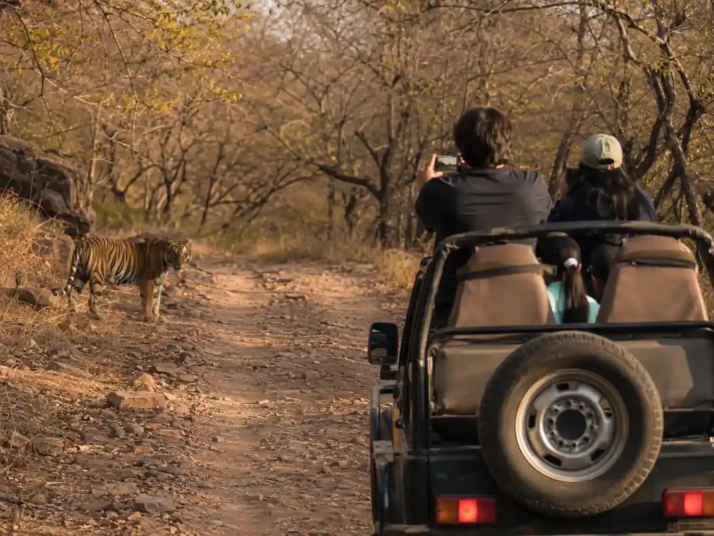 https://travjoy.s3.ap-south-1.amazonaws.com/sariska_tiger_reserve_1_2_e8e352990f.webp