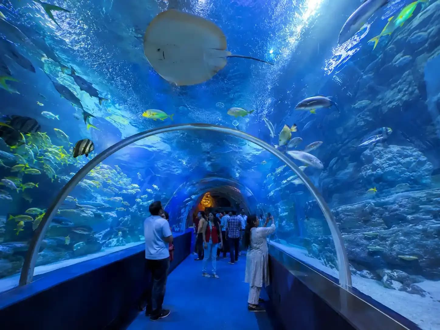 https://travjoy.s3.ap-south-1.amazonaws.com/under_the_sun_aquarium_2_1e74d0a1a3.webp