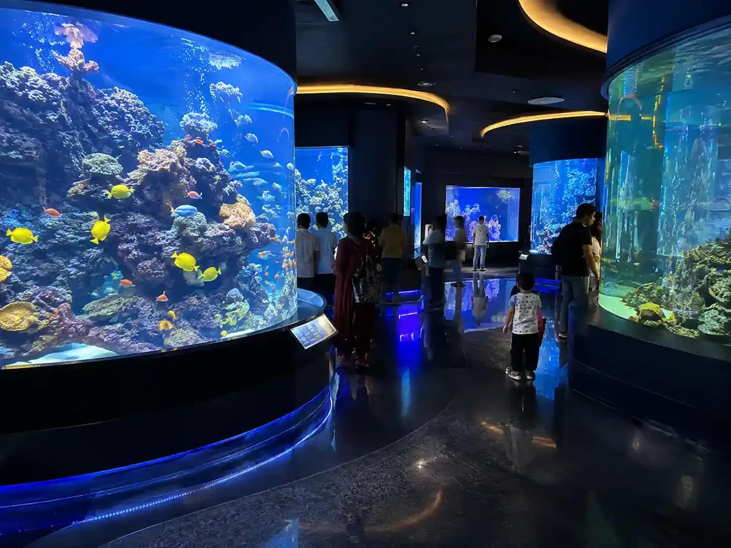 https://travjoy.s3.ap-south-1.amazonaws.com/under_the_sun_aquarium_3_941cc13af1.webp