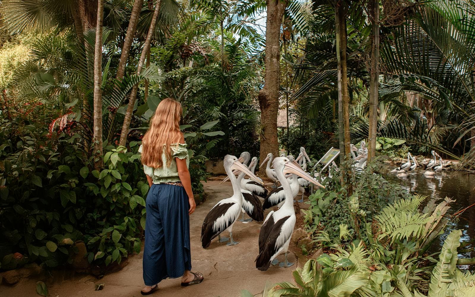 https://cdn-imgix.headout.com/media/images/18fb66376863022f5d0b8a322aca59d5-12172-bali-bali-bird-park-tickets-with-bird-and-animal-shows-02.jpg
