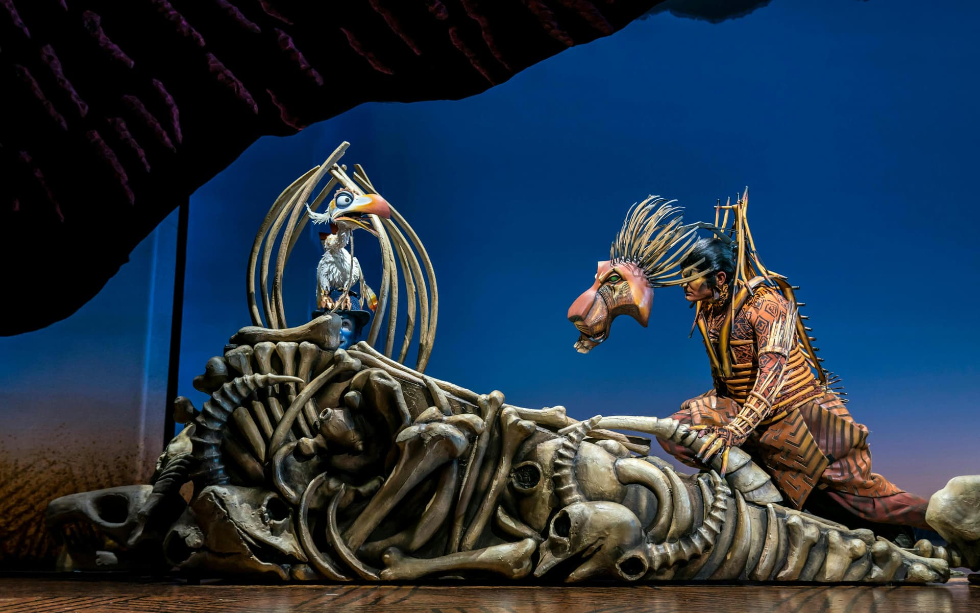 2c4e3396-aaa3-4d98-b9a3-262ff1558907-1784004692992-LionKingtour2019_72829