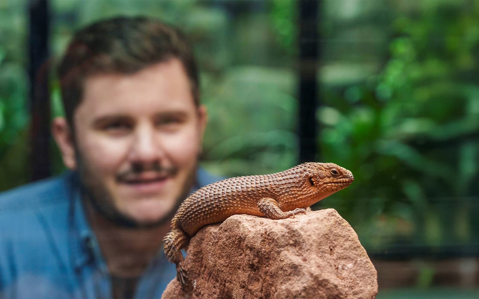 https://cdn-imgix.headout.com/media/images/32cec25e5b1c0780c20887f9fb1f3910-6476-london-london-zoo-entrance-ticket-13.jpg