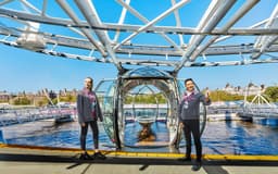 64b45ee8e625bfffb61029fba4c29381-2844-London-LondonEyeFastTrackTickets-1