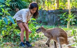 Bali Zoo