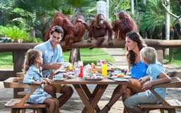 a7c03d1ab4b9463fb09f6aa375599459-12176-bali-bali-zoo-entrance-tickets-with-optional-transfers004