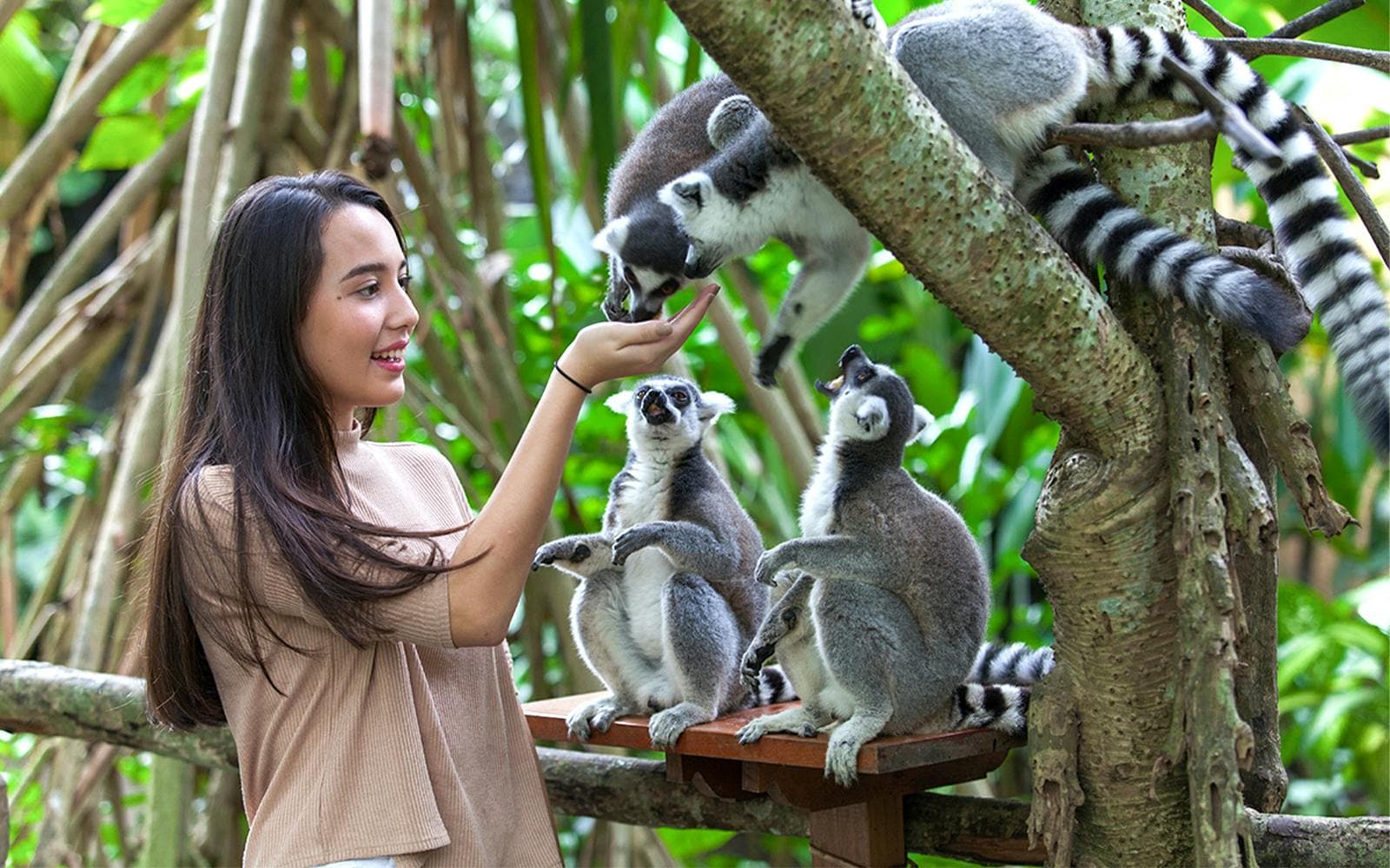 https://cdn-imgix.headout.com/media/images/ab052742929e7907b3a33f42697a0bf9-12176-bali-bali-zoo-entrance-tickets-with-optional-transfers006.jpg